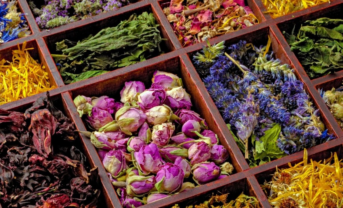 Hiểu về trà thảo dược, trà thảo mộc, trà hoa