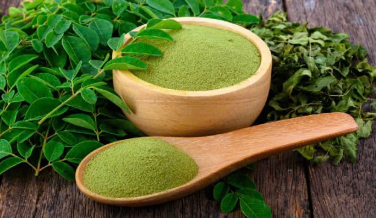 Các loại cây thảo dược tốt cho sức khỏe