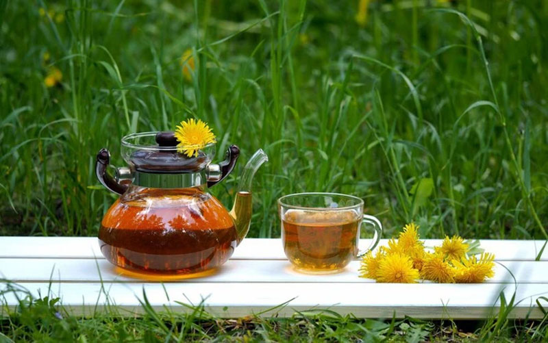 Uống lá gì để mát gan? Uống trà gì để mát gan giải độc?