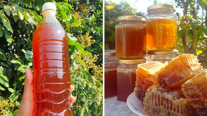 Giá mật ong Hoa Nhãn bao nhiêu tiền 1 lít?