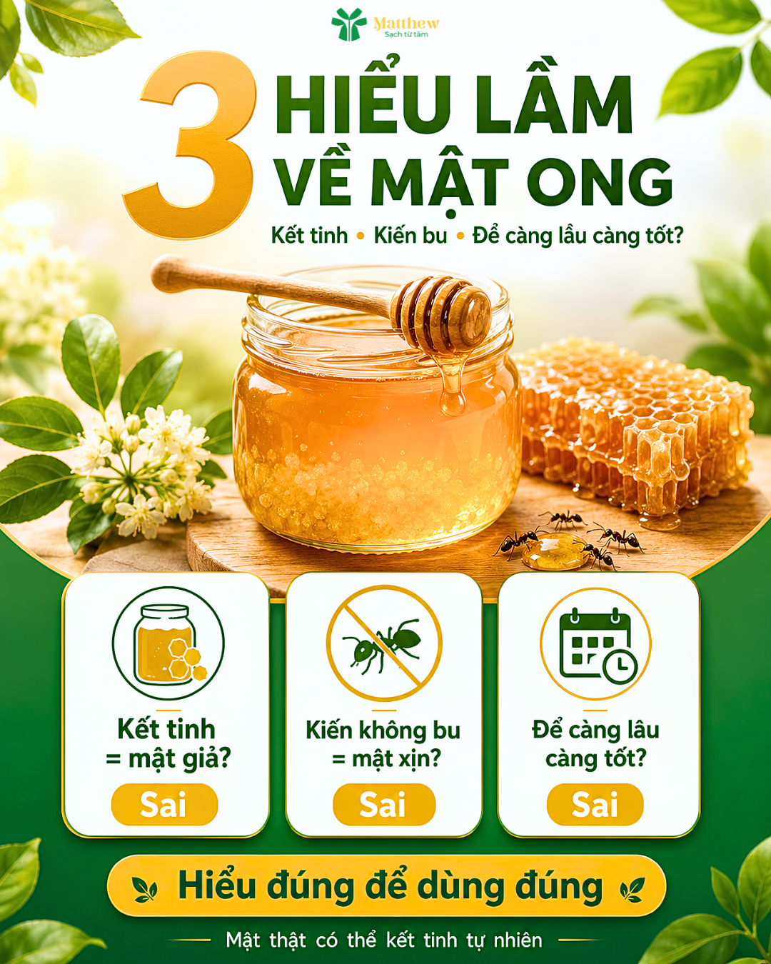 MẬT ONG KẾT TINH LÀ MẬT GIẢ? KIẾN KHÔNG BU MỚI LÀ MẬT XỊN?