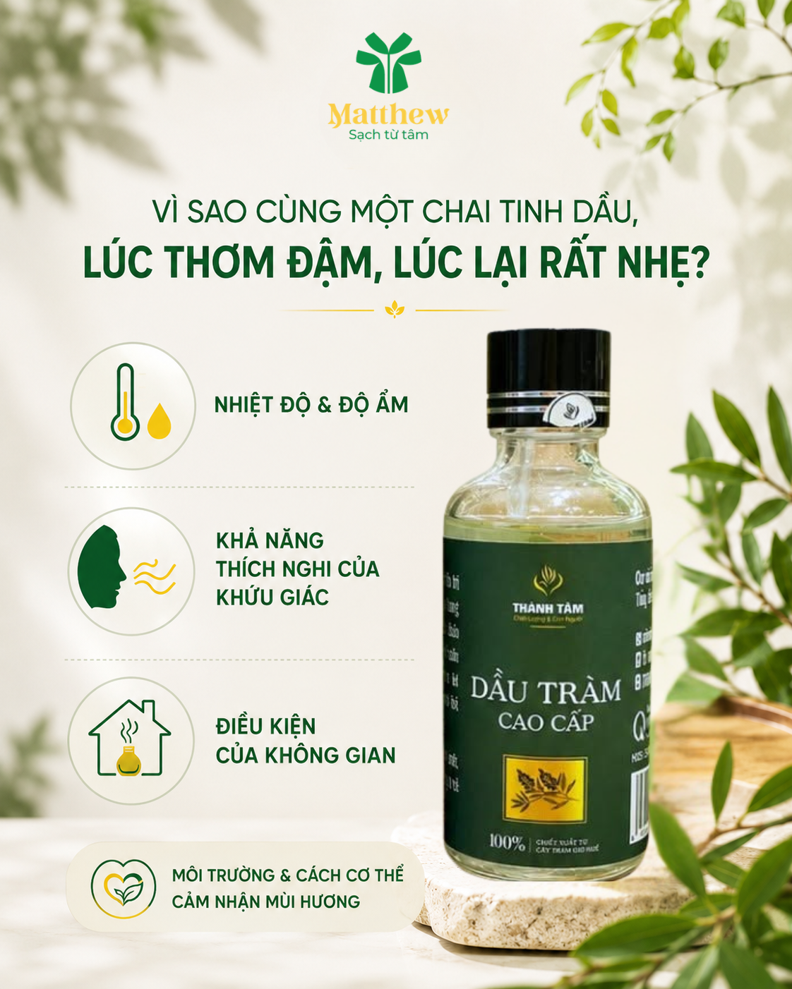🌿 VÌ SAO CÙNG MỘT CHAI TINH DẦU, LÚC THƠM ĐẬM, LÚC LẠI RẤT NHẸ?