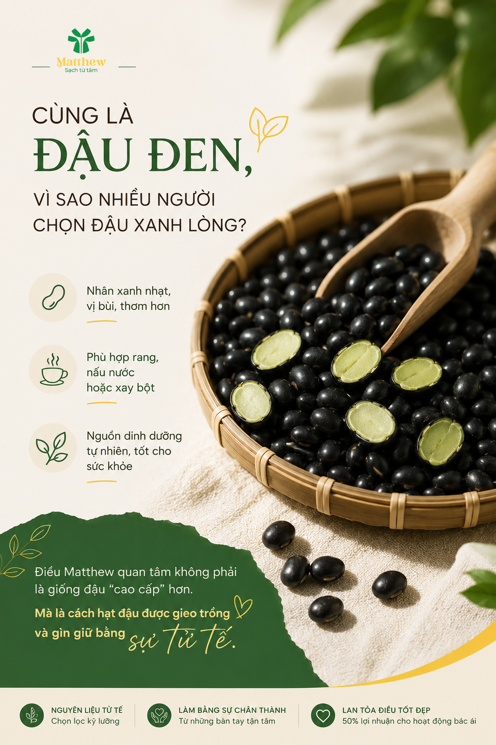 🫘 CÙNG LÀ ĐẬU ĐEN, VÌ SAO NHIỀU NGƯỜI LẠI CHỌN ĐẬU XANH LÒNG?