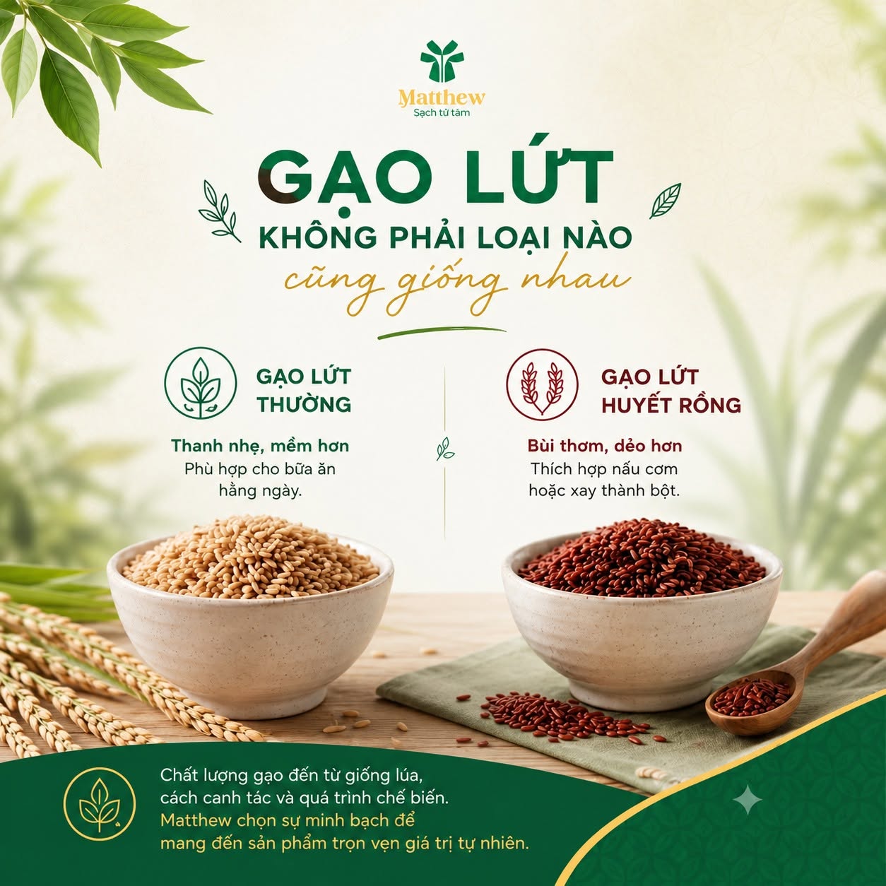 🌾KHÔNG PHẢI LOẠI GẠO LỨT NÀO CŨNG GIỐNG NHAU