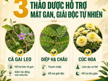 Trang chu